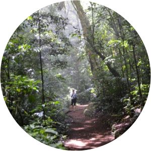 Curi-Cancha Reserve - 