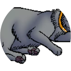 Curlypaw - Fictional character