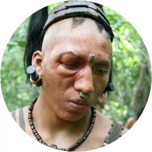 Cut Rock Apocalypto - 