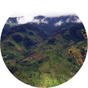 Cutervo National Park