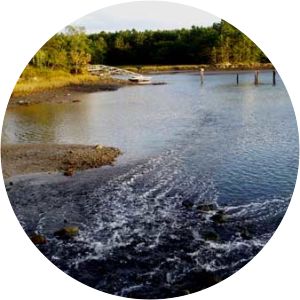 Cutts Island Trail - 