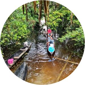 Cuyabeno Wildlife Reserve - National park in Ecuador