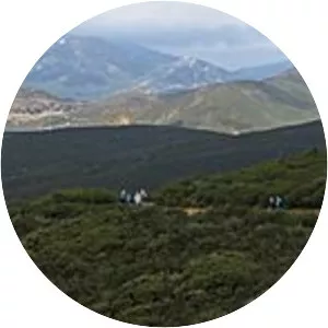 Cuyamaca Mountains - 