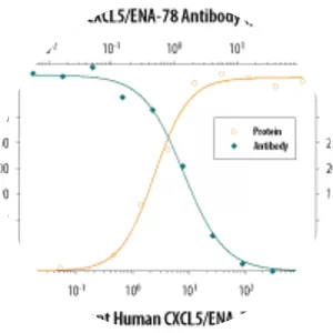 CXCL5 - Protein