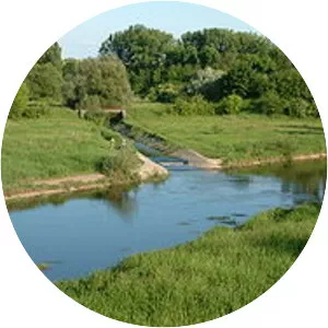 Cybina - River in Poland