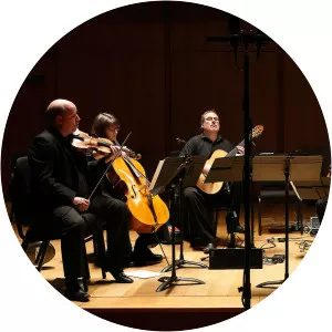 Cygnus Ensemble - Musical ensemble