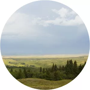 Cypress Hills Interprovincial Park - Saskatchewan - 