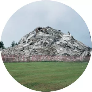 Cyprien Gaillard - Artist