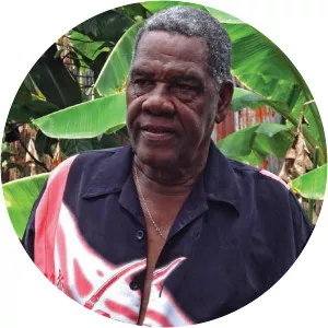 Cyril Silvan - Musical artist