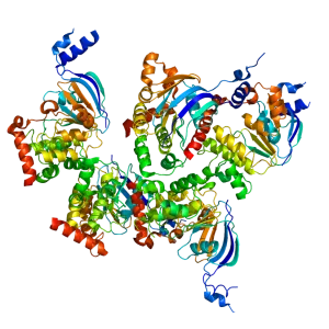 Cystic fibrosis transmembrane conductance regulator