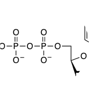 Cytidine triphosphate - 