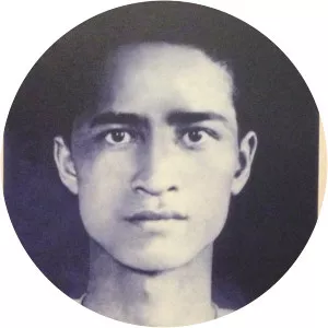 Dương Hạc Đính