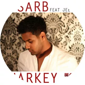 D-Sarb - Musical artist