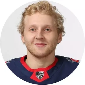 D. Shurakov - Ice hockey player