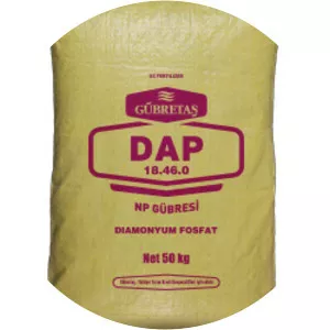 Da-P - Musical artist