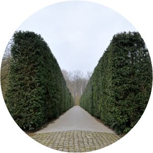 Dachaumonument Amsterdamse Bos - 