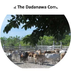 Dadanawa Ranch - 