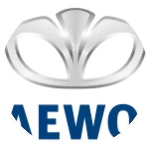 Daewoo Motors