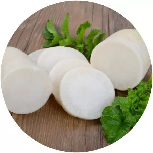 Daikon - Radish