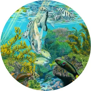 Dailan Pugh - Visual artist ‧ Clifton Pugh's son