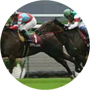 Daily Hai Nisai Stakes - 