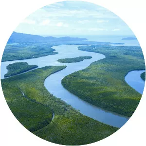 Daintree River