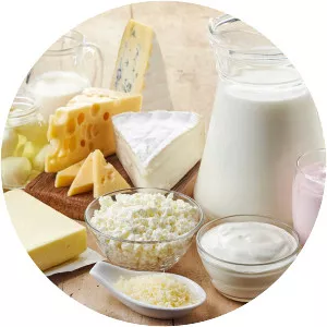 Dairy Products