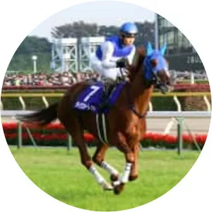 Daiwa Scarlet - Horse