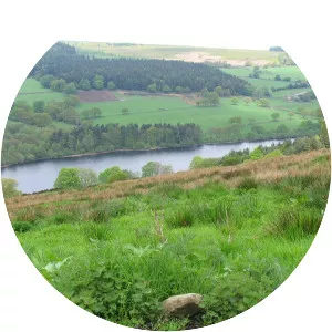 Dale Dike Reservoir - Reservoir in England