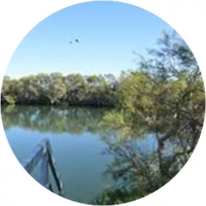 Dalhousie Springs - Spring in Australia