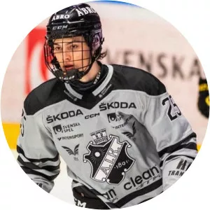 Dalibor Dvorsky - Ice hockey player