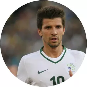 Dalibor Stevanović - Slovenian football player