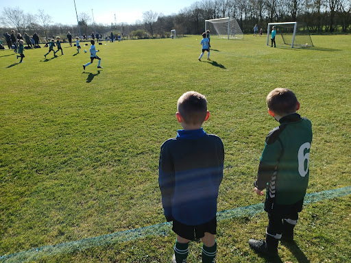 Dall Villaby vandresti - Hiking area in Svenstrup, Denmark