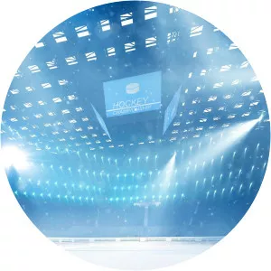 Dallas Stars Playoff RewindSince 2020