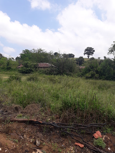 Dallica Koyu Muhtarligi - Hotel