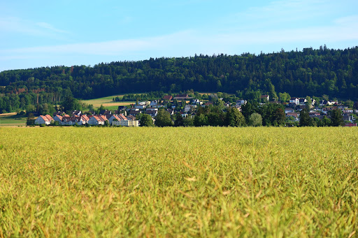 Dallikon - Warehouse in Dallikon, Switzerland