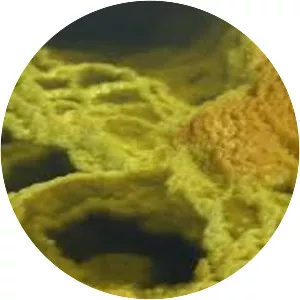 Dallol - Town in Ethiopia