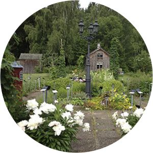 Dals Rostock Herb Garden - 