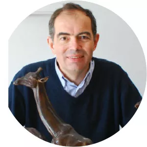 Damien Colcombet - Sculptor