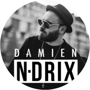 Damien N-Drix - Recording artist