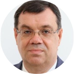 Damir Bajs Independent list