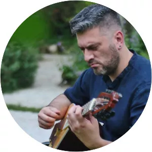 Damir Imamović - Musician