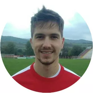 Damir Sadiković - Bosnian football player
