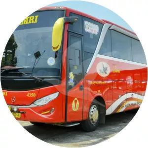 DAMRI bus