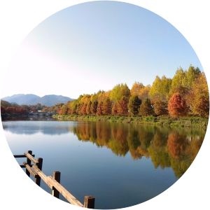 Damyang Gwanbangjerim Forest Damyang-gun