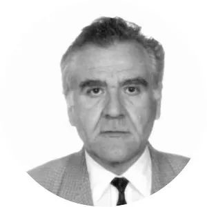 Dan-Alexandru Voiculescu Musician