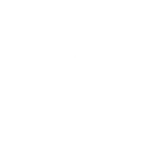 Dan Baird and Homemade Sin