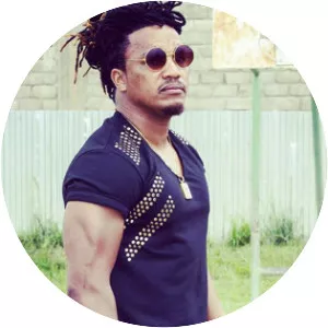 dan Lu - Musical artist