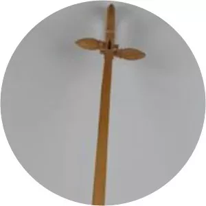 Đàn tính - Musical instrument