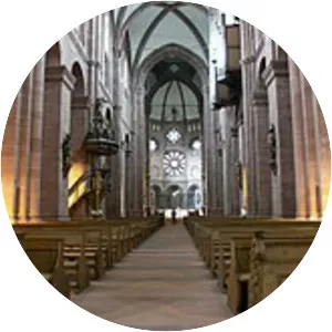 Dan Zerfaß Musician